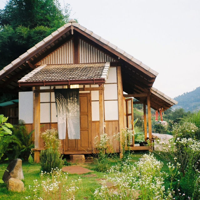 Mori Natural Farm โมริ เนเชอรัลฟาร์ม เชียงใหม่ 🏮🛖
