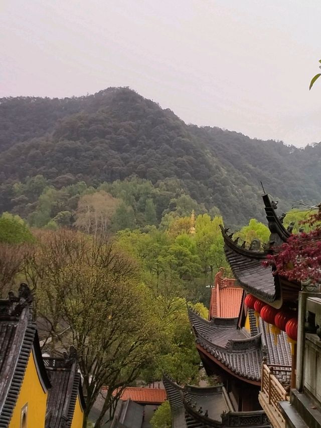Tea Trails and Temple Tranquility: My Hangzhou Discovery