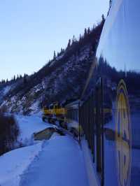 アラスカに来たら絶対乗りたい！オーロラ列車｜Aurora Winter Train 完全ガイド