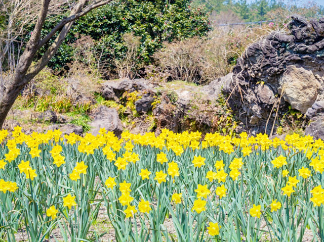 Hueree Flower Festival
