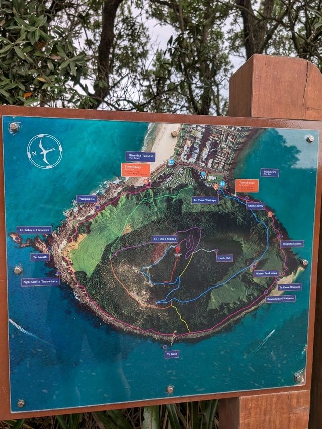 Mt.maunganui
