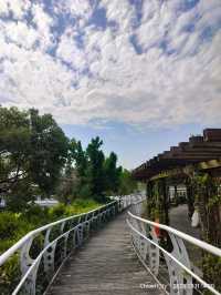 สวนสาธารณะสวย Song of the forest Chiayi 
