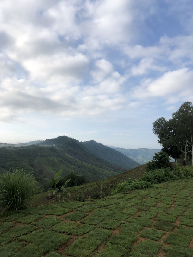 ภูเขา🍃