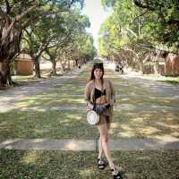 Steps of Serenity: Walking Through Tunghai University and Luce Chapel