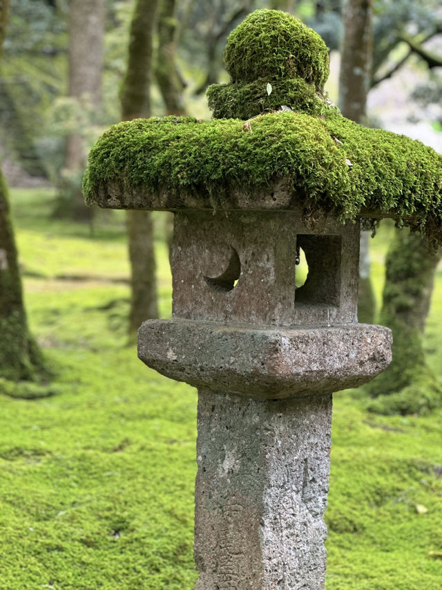 【石川×那谷寺】緑の苔に覆われた境内  羽織、番傘レンタルが無料