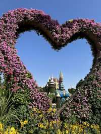 Bloom with Flowers in Spring! 