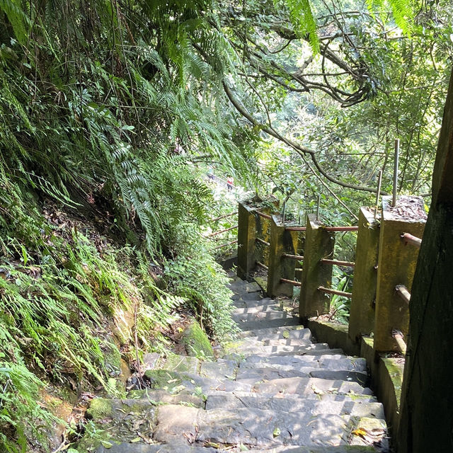 新店半日輕旅行｜瀑布秘境×復古美食×逛街散步一次滿足