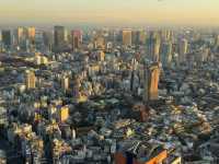 Day and Night Magic: Roppongi Hills View is Worth It!