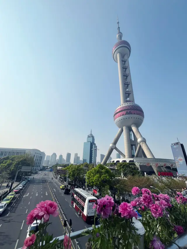 上海 3 晚 4 天自由行