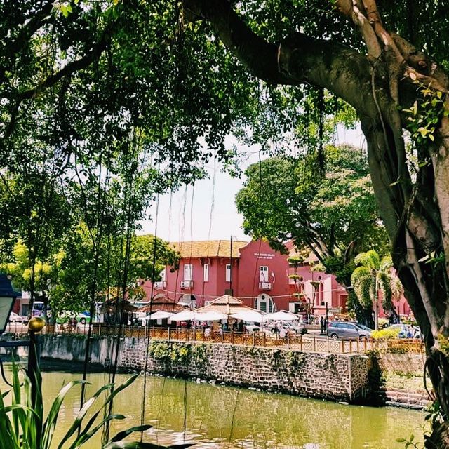 Jonker Walk: Melaka’s Timeless Blend of History, Culture, and Flavour