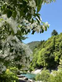 【岐阜】エメラルドグリーンの水面、山々、空の青さが素晴らしい