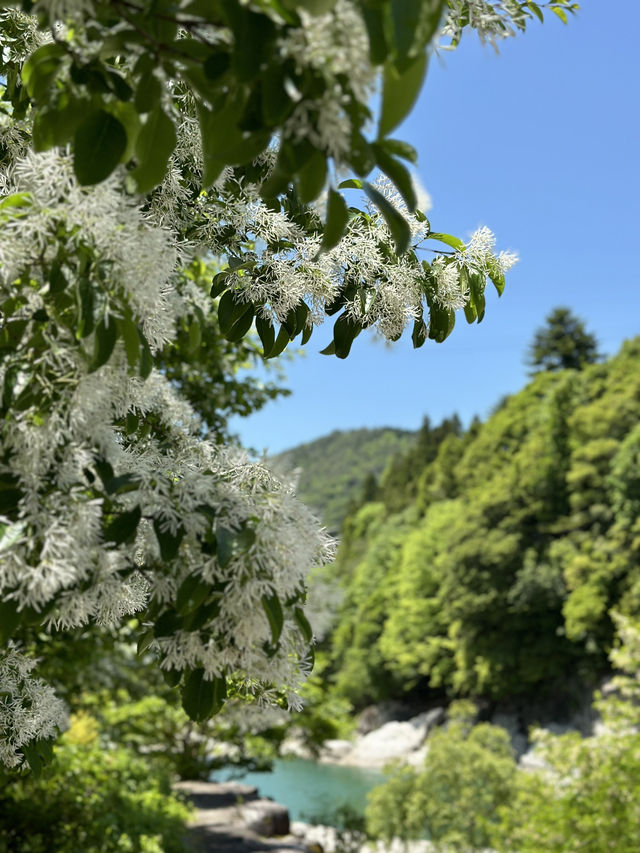 【岐阜】エメラルドグリーンの水面、山々、空の青さが素晴らしい
