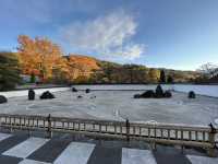 興禅寺の看雲庭と紅葉