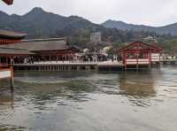【広島】嚴島神社で海に浮かぶ鳥居を見る！