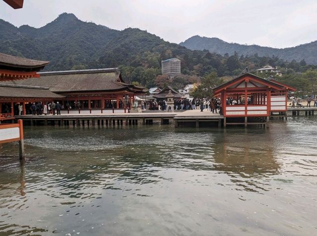 【広島】嚴島神社で海に浮かぶ鳥居を見る！