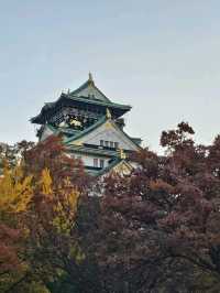 京阪一日賞楓行程，東福寺紅葉海 × 大阪城金秋散步