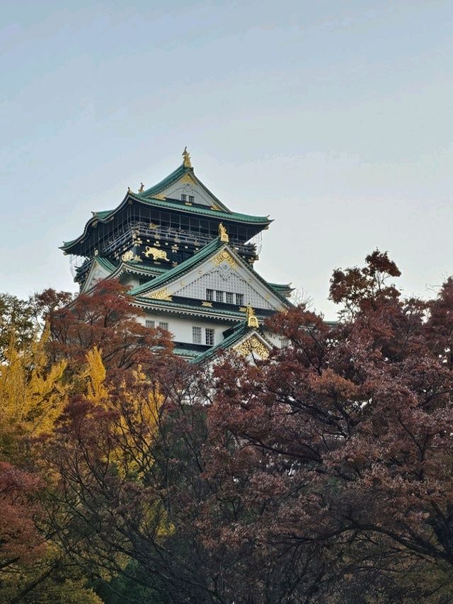 京阪一日賞楓行程，東福寺紅葉海 × 大阪城金秋散步
