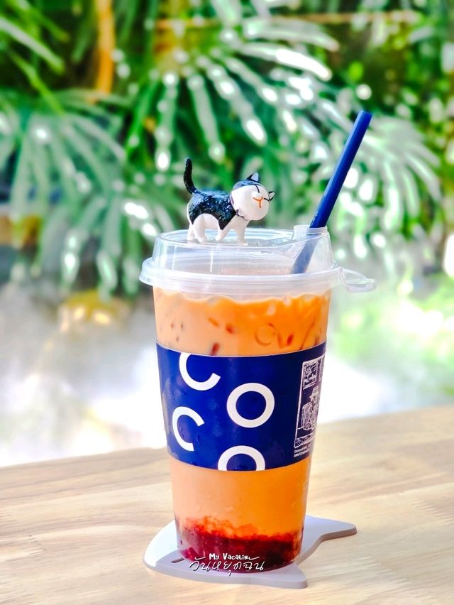 Cococat Cafe