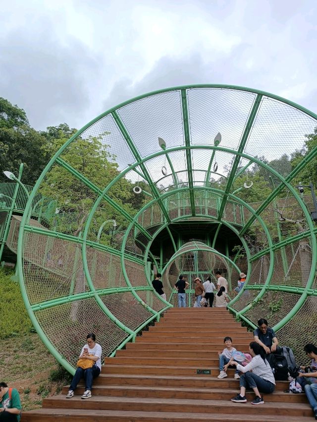 親子景點 - 免費入場龍崗兒童公園