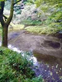 Spring Walk at Kakita River Park