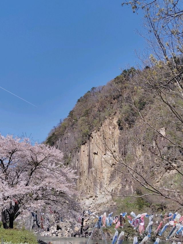 【材木岩公園】国の天然記念物「材木岩」の造形美