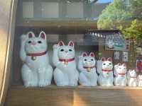 東京🇯🇵日本最萌貓咪神社⛩️豪德寺🐱