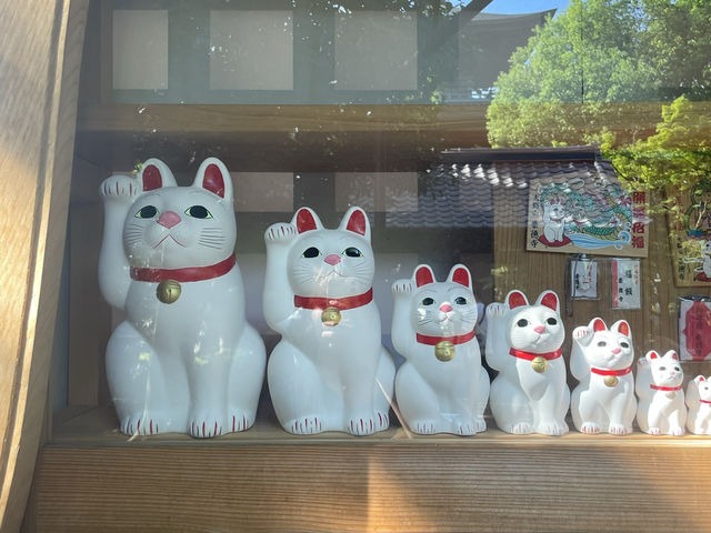 東京🇯🇵日本最萌貓咪神社⛩️豪德寺🐱
