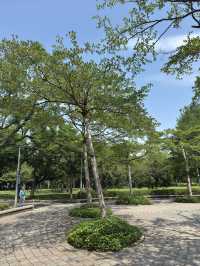 台北｜大安森林公園一日遊