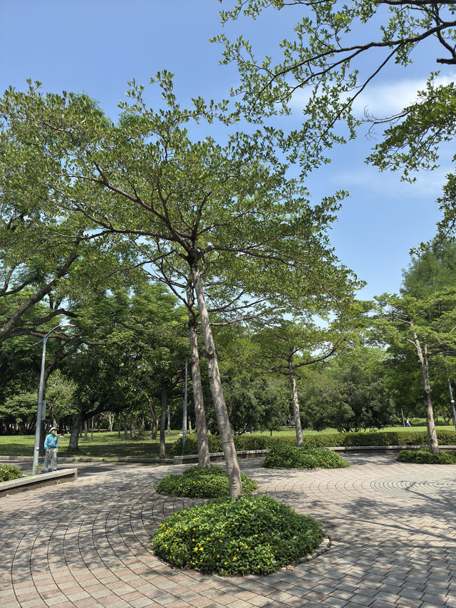 台北｜大安森林公園一日遊