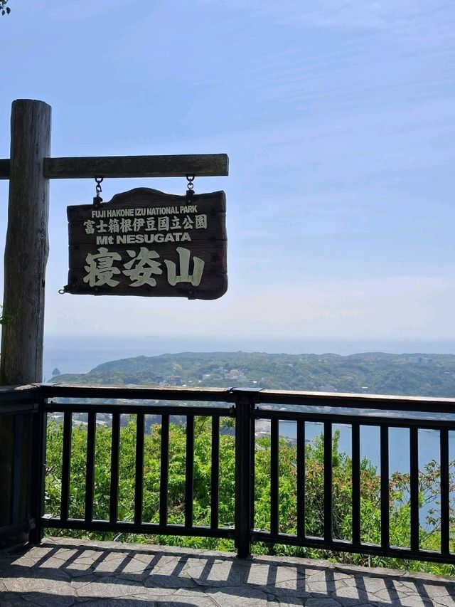 【伊豆下田】ロープウェイで行ける絶景展望台