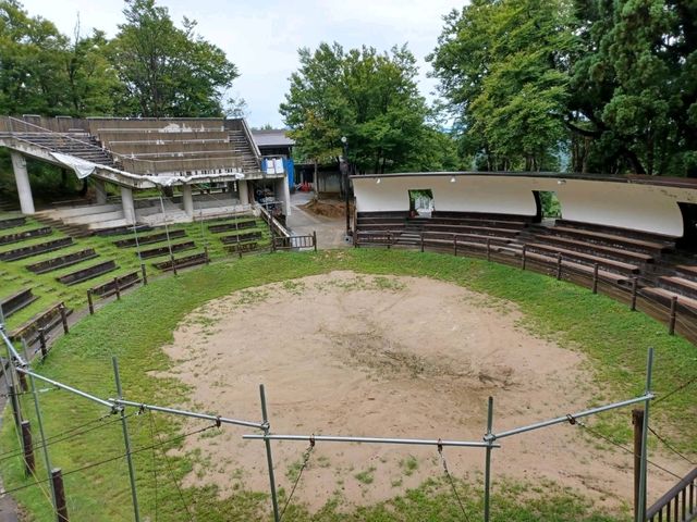 山古志闘牛場で闘牛を観戦！