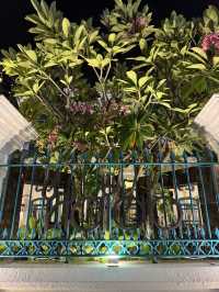 A burst of life & colors 