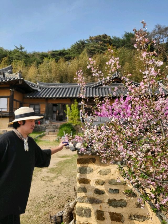 화과자 만들기 체험이 가능한 영덕여행코스