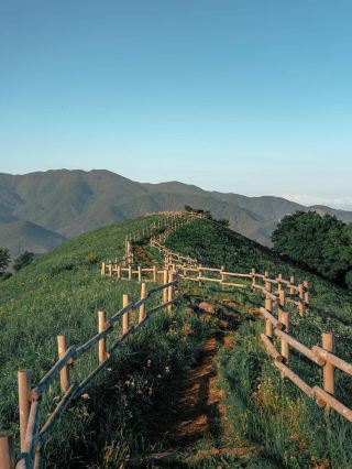 Gangwondo - sống lưng khủng long