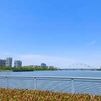 ～江邊印象～金溪體育公園～