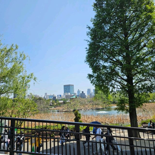 [上野動物園]関東でパンダが見られるのはここだけ！子供連れ観光地の定番