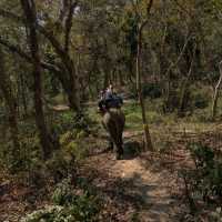 🇳🇵チトワン国立公園