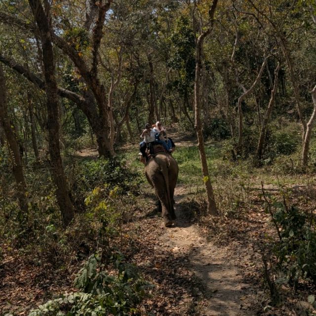 🇳🇵チトワン国立公園