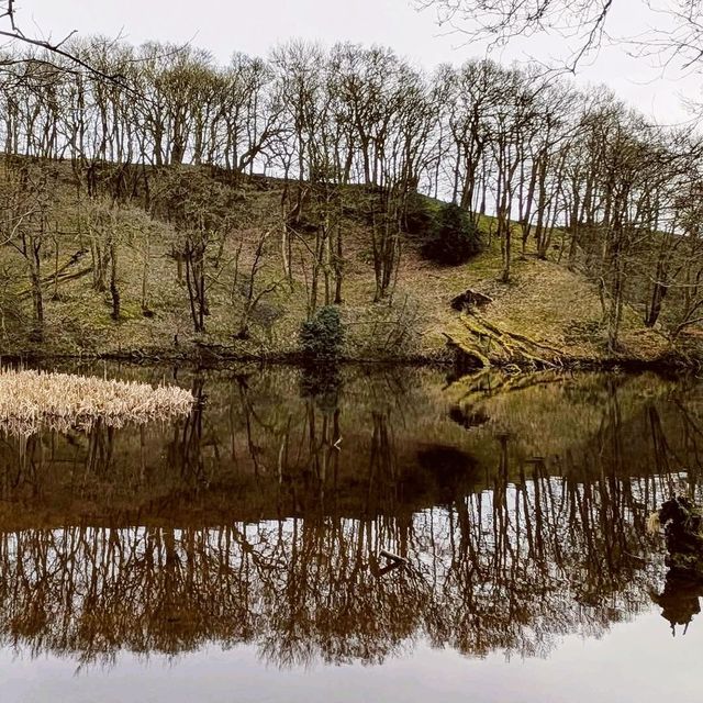 Calder Vale