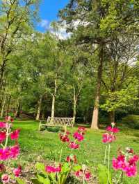 Golden Acre Park