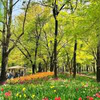Seoul Forest (Seoul)