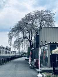 盛岡木伏綠地