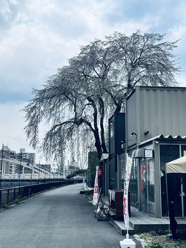 盛岡木伏綠地