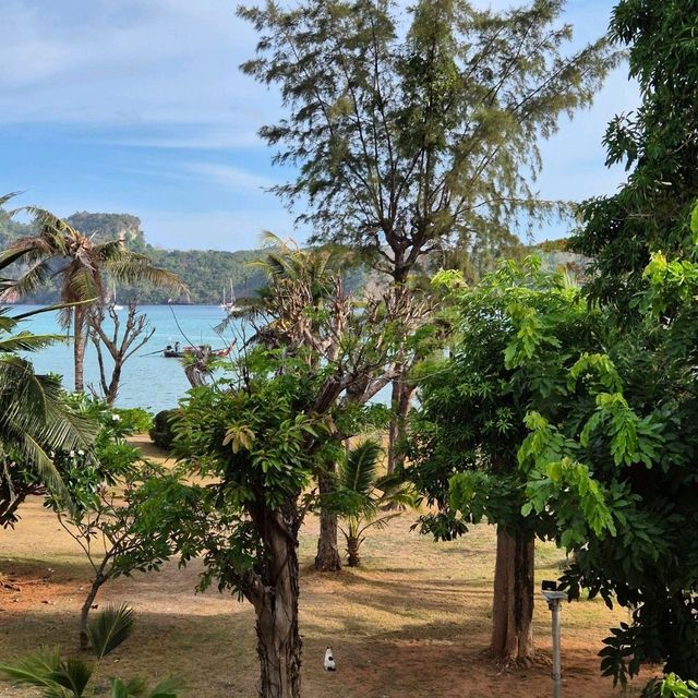 나만 알고 싶지만 너무 유명한 태국 피피섬🏖