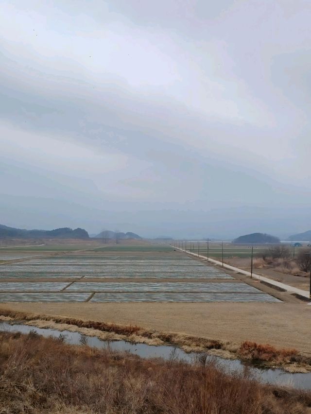 자연 속에서 여유롭게, 창원 당일치기 힐링 코스 추천