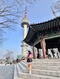 Chasing Sakura at N Seoul Tower