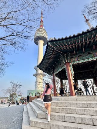 Chasing Sakura at N Seoul Tower