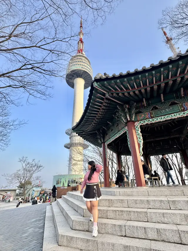 Chasing Sakura at N Seoul Tower