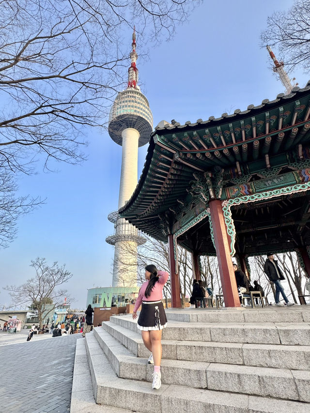 Chasing Sakura at N Seoul Tower