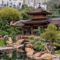 志蓮淨苑及南蓮園池 (Chi Lin Nunnery and Nan Lian Garden) - 寧靜的節慶文化體驗 (Tranquil Festive Cultural Experience)